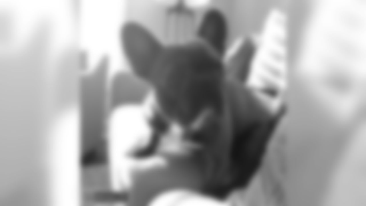 DT Fletcher Cox's French bulldog Philly
