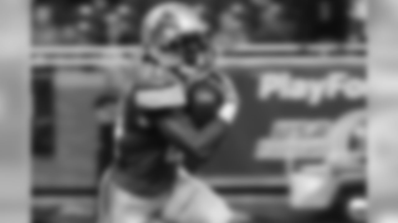 RB Ameer Abdullah has accumulated 284 yards and one touchdown through Week 11 of his rookie season