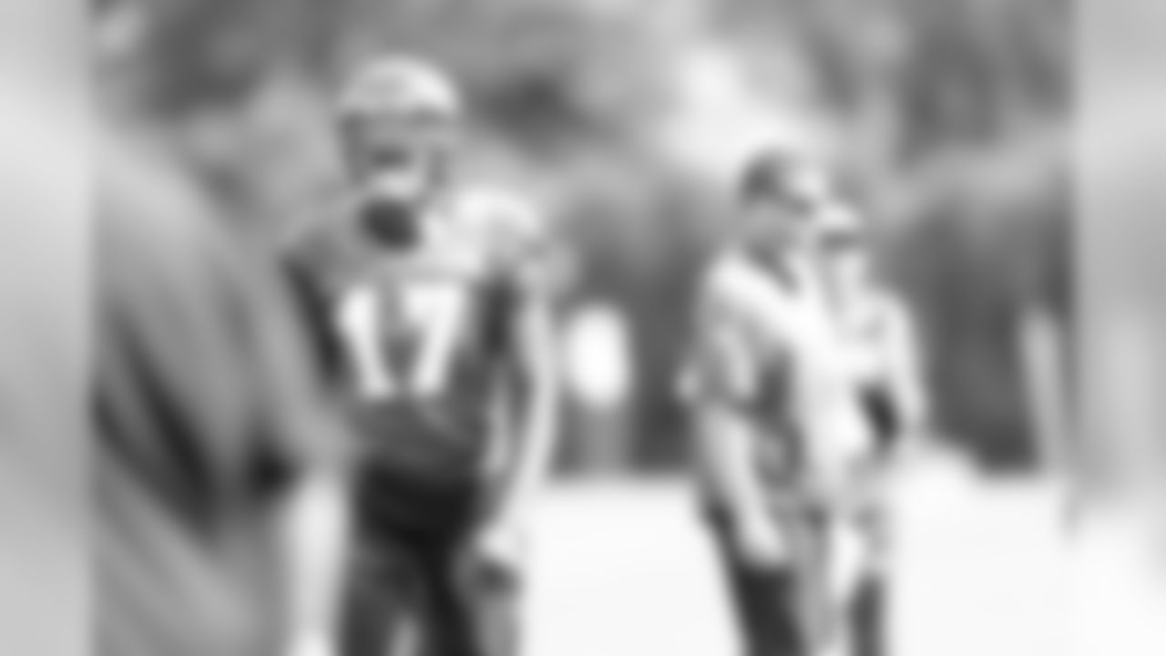 WR Alshon Jeffery