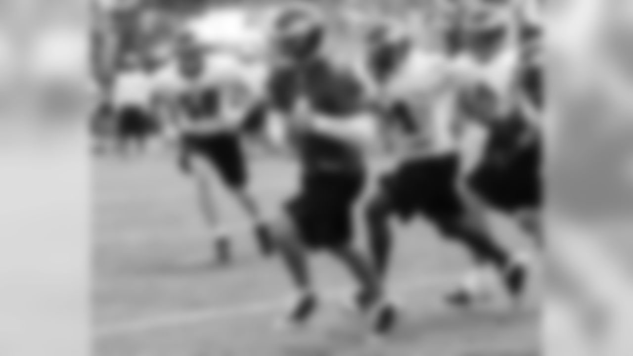 QB Kevin Kolb on the run