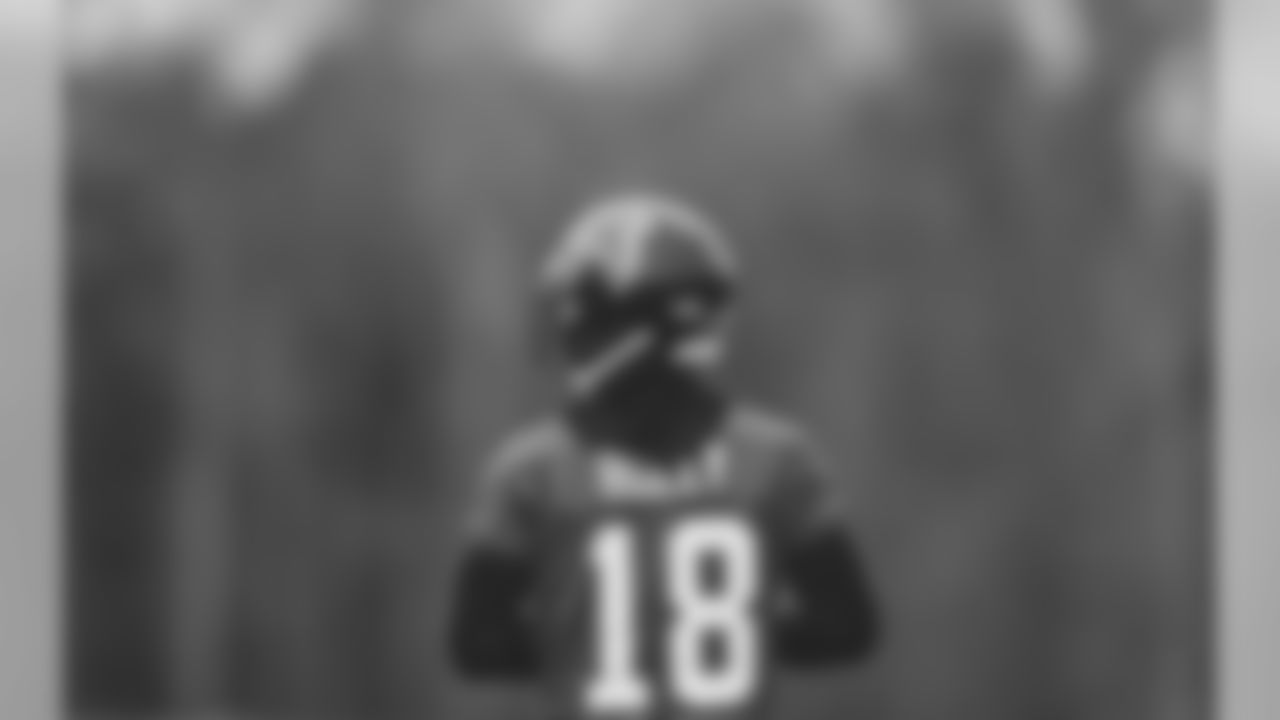 WR Calvin Ridley
Atlanta Falcons / Stacey Ward