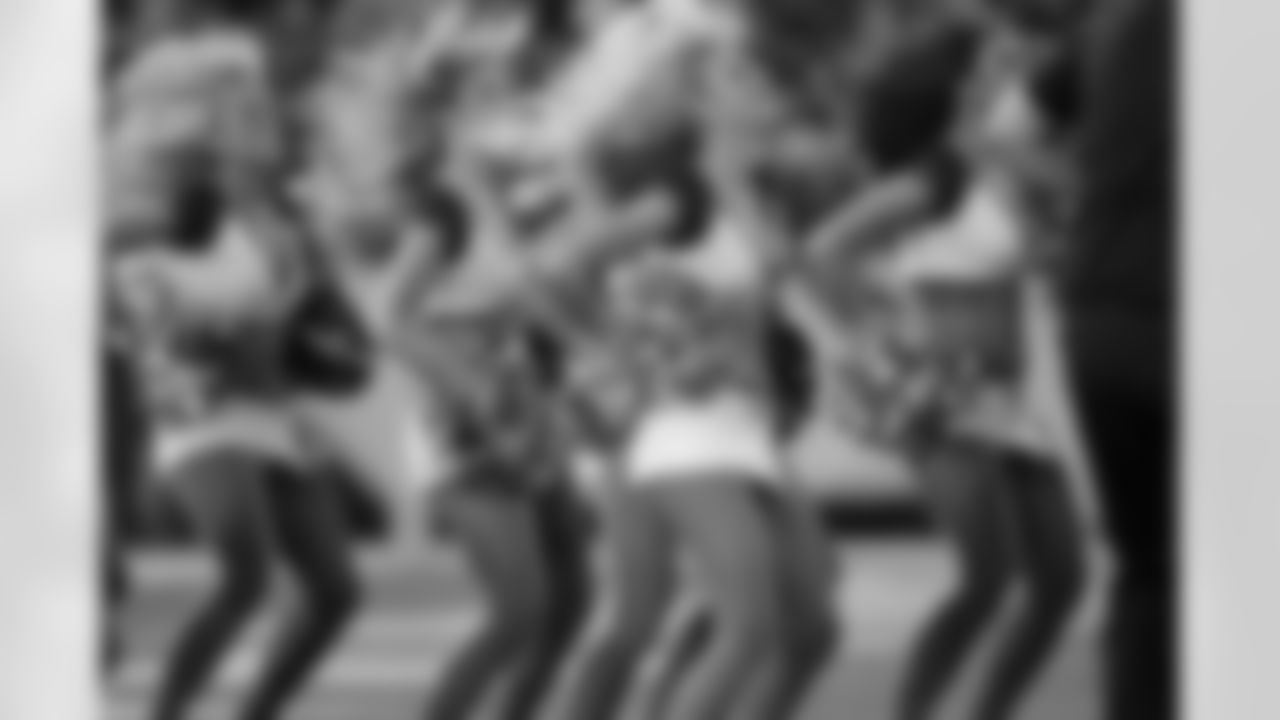 The Baltimore Ravens Cheerleaders