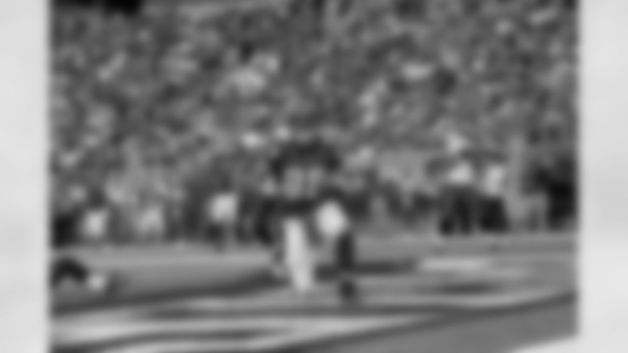 Falcons at Eagles // 10/17/10 - Lincoln Financial Field