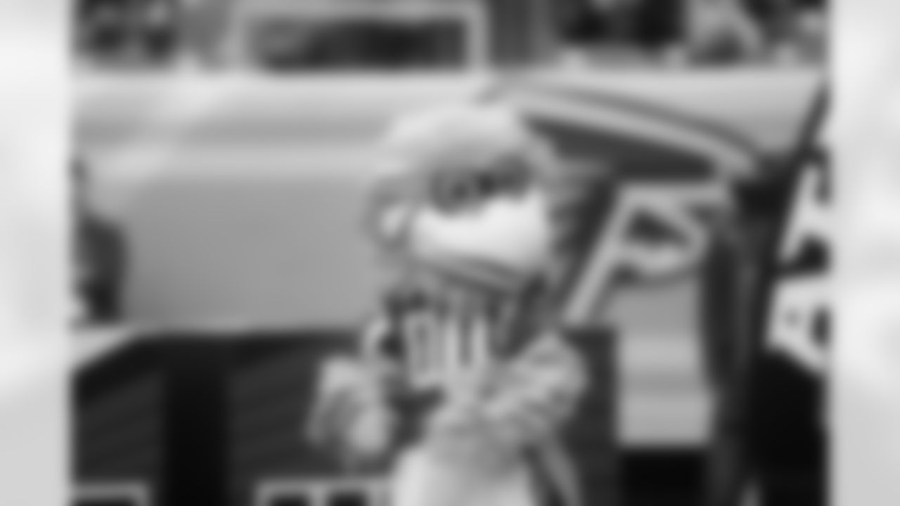 Freddie Falcon