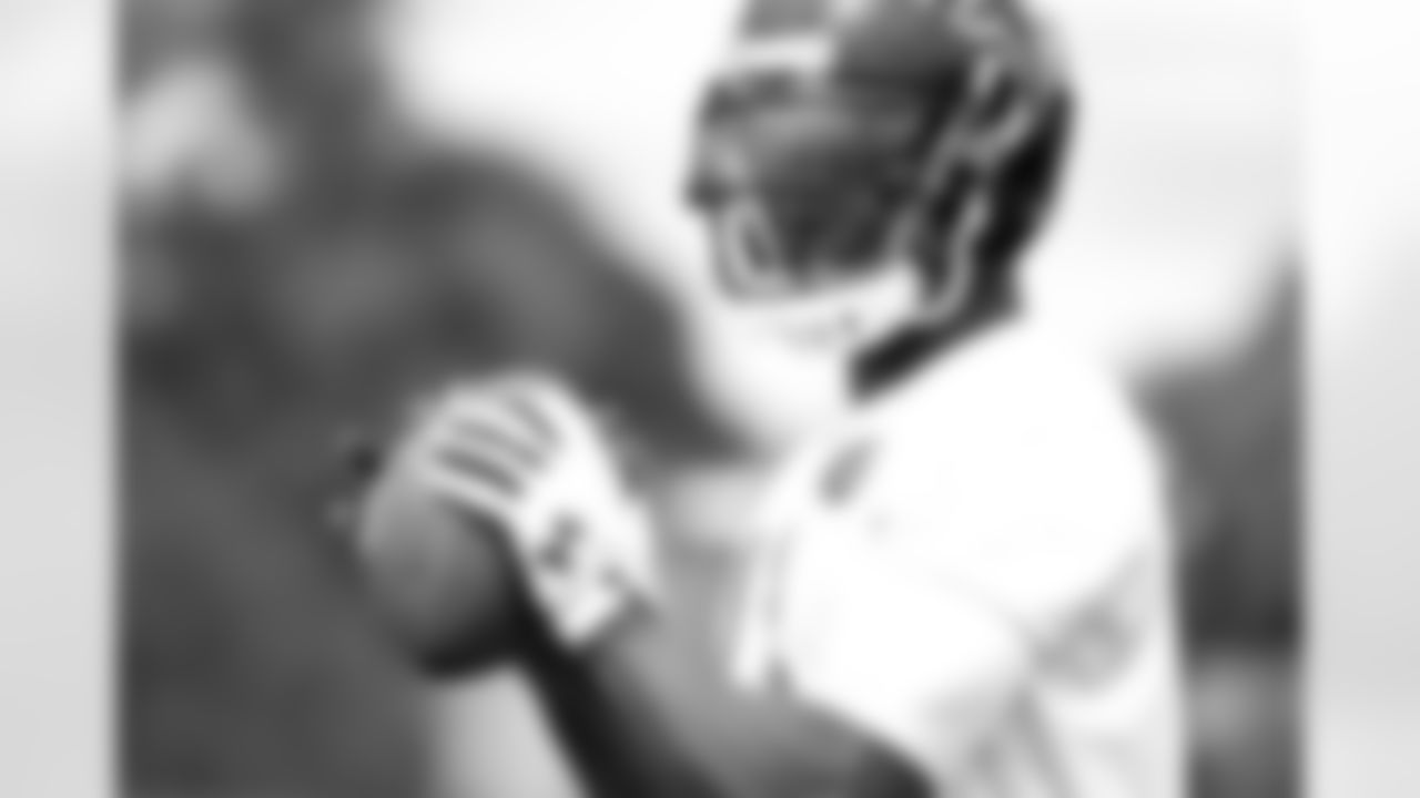 WR Julio Jones