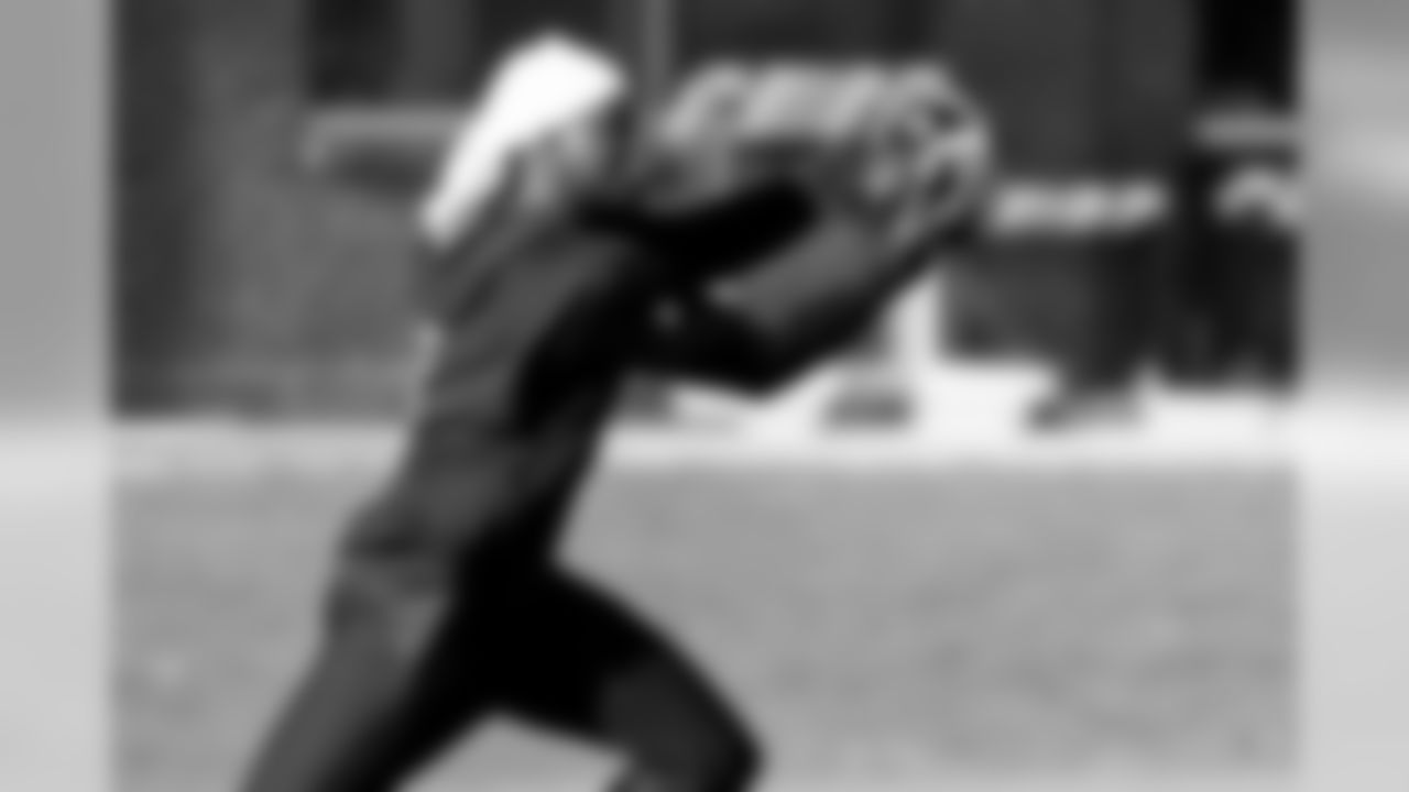 WR Mohamed Sanu