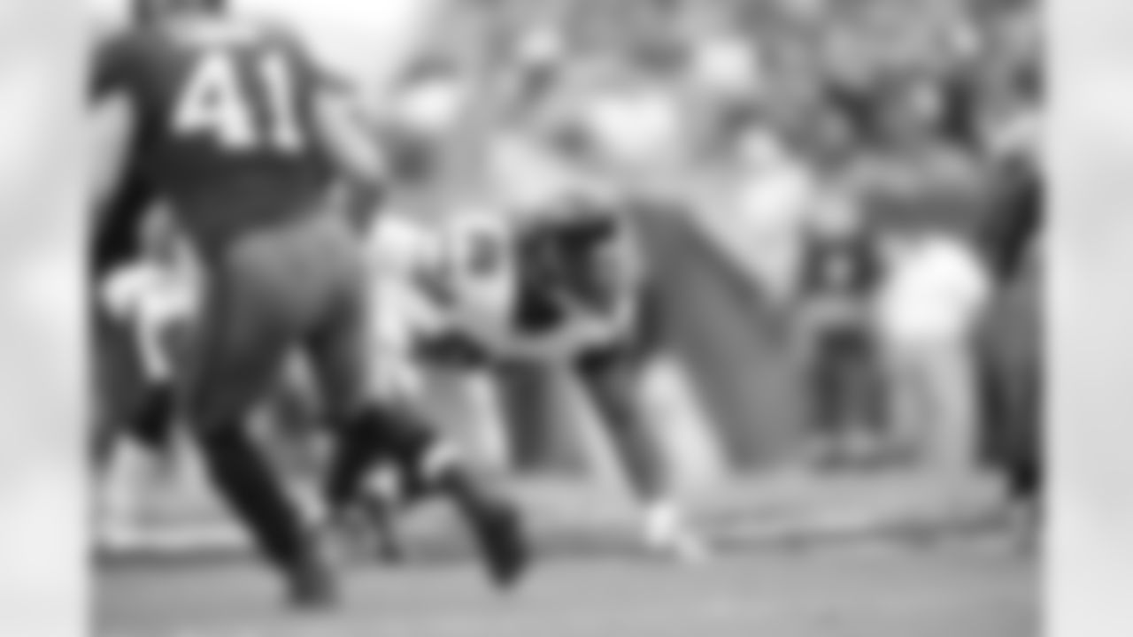 DT Jonathan Babineaux