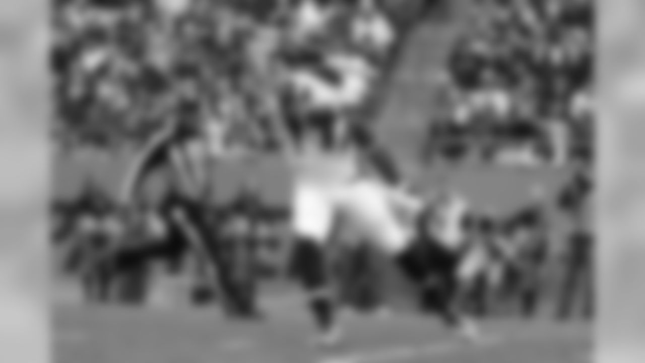 WR Devin Hester stands back as the Panthers punt
