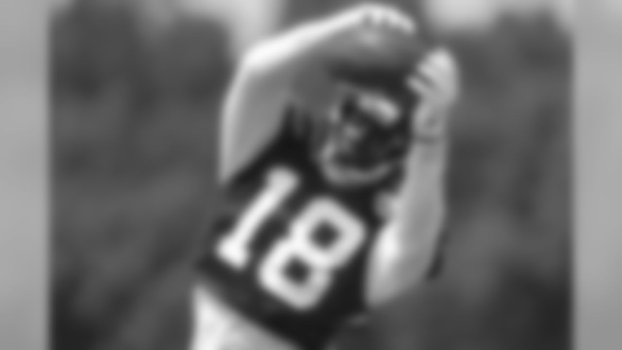 WR Calvin Ridley
