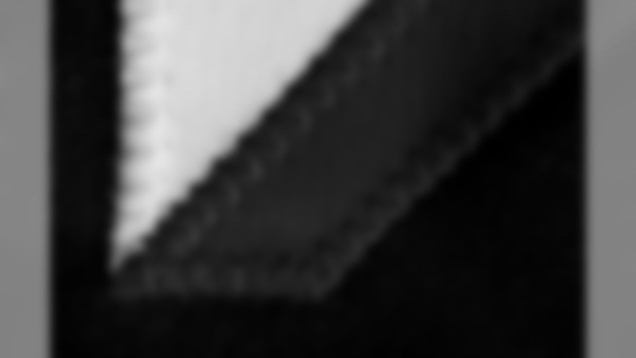 2020_AtlantaFalcons_Home_macro-details_3974