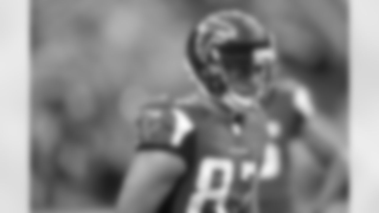 WR Brian Robiskie