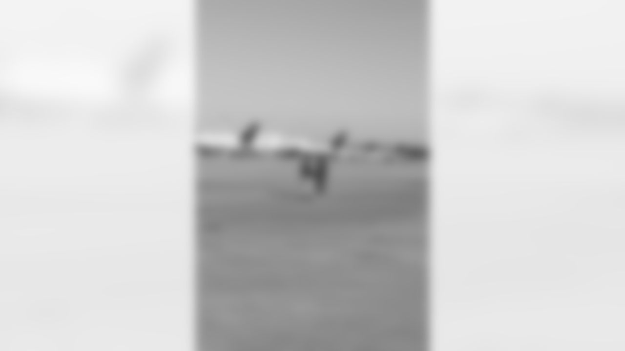 Several Falcons traded places with AirTran workers to marshal planes, take tickets and greet passengers // Trading Places - AirTran // Nov. 1, 2011 // Atlanta -