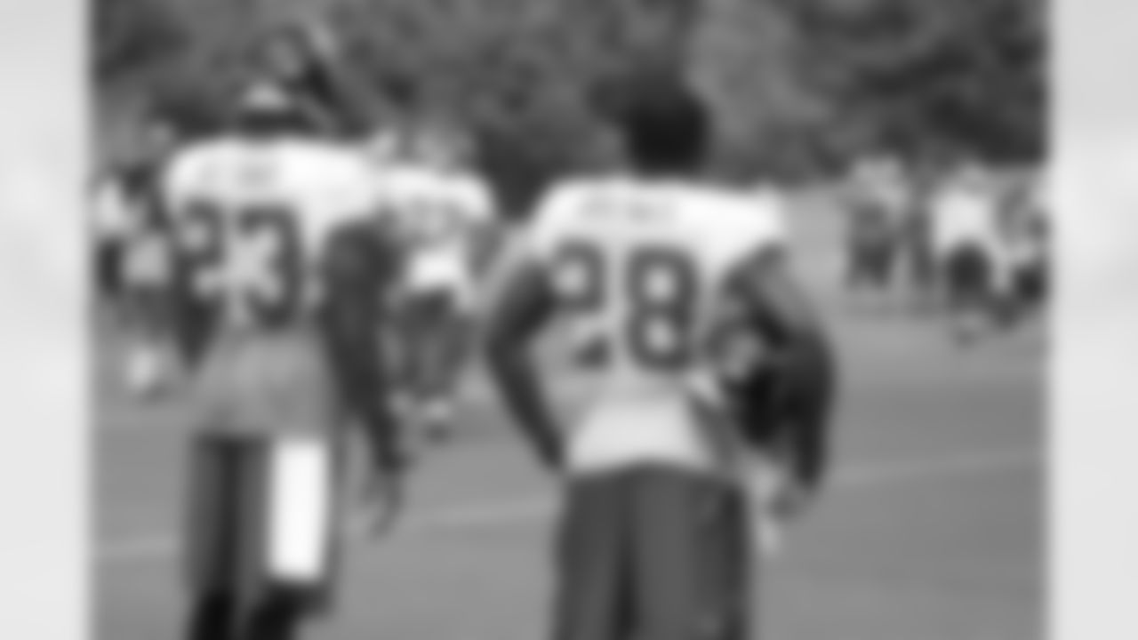 CB Robert Alford and CB Javier Arenas
