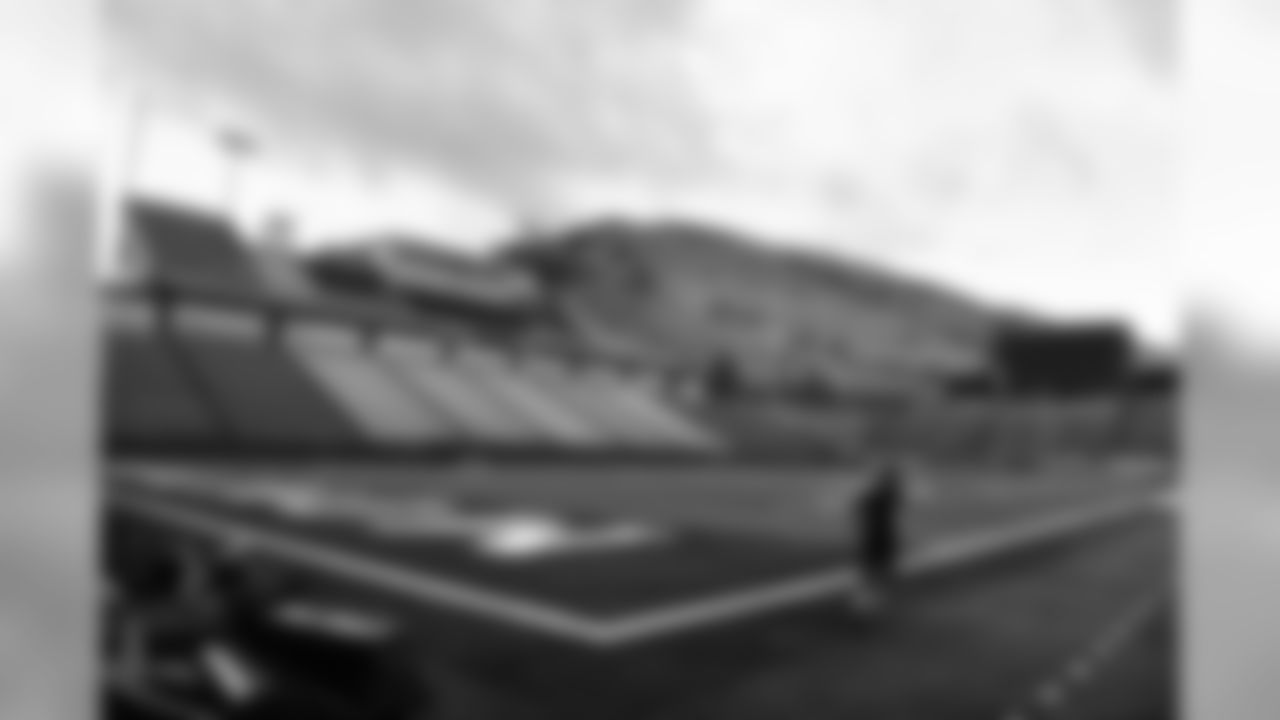 Falcons Camp 003