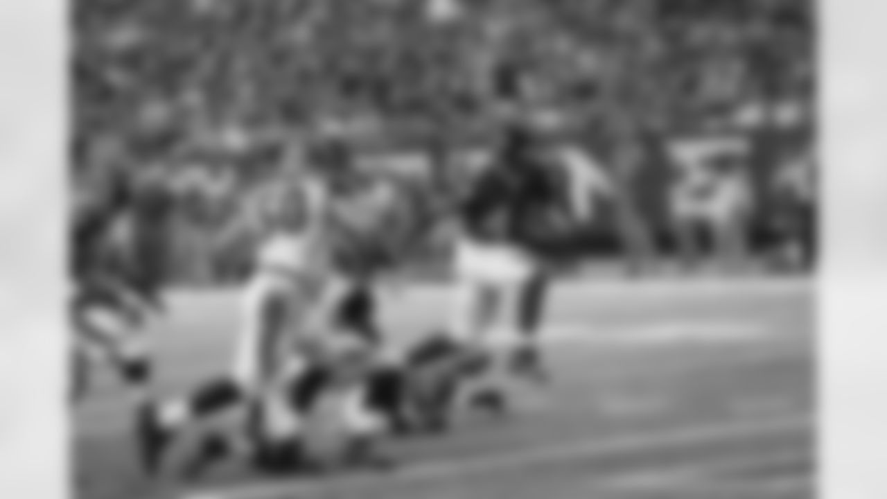 Jason Snelling scores a touchdown in the 3rd quarter