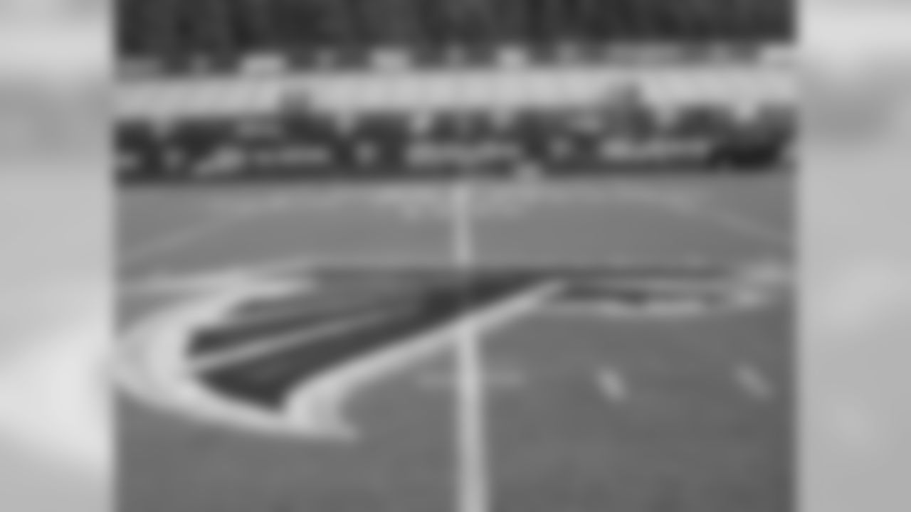 The Falcons logo on the Norcross High School field turf. // 2011 Friday Night Lights // August 5, 2011 // Norcross, Ga. —