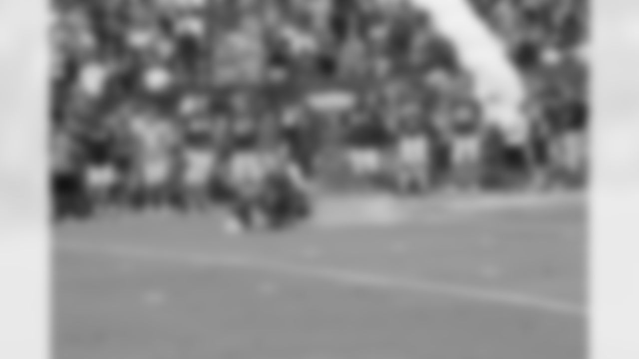 A skydiver lands on the field