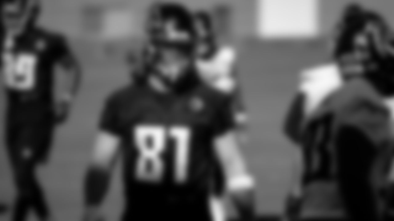 Atlanta Falcons tight end Hayden Hurst #81 looks on during practice at IBM Performance Field.
