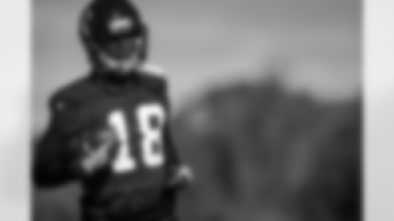 WR Calvin Ridley
Atlanta Falcons/ Carmen Mandato