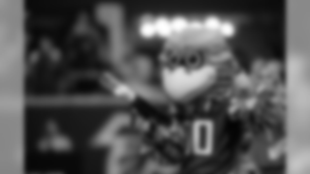 Freddie Falcon