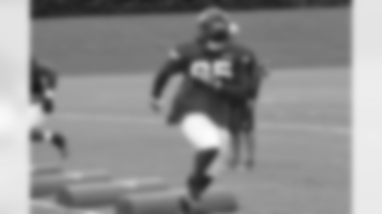 DT Jonathan Babineaux