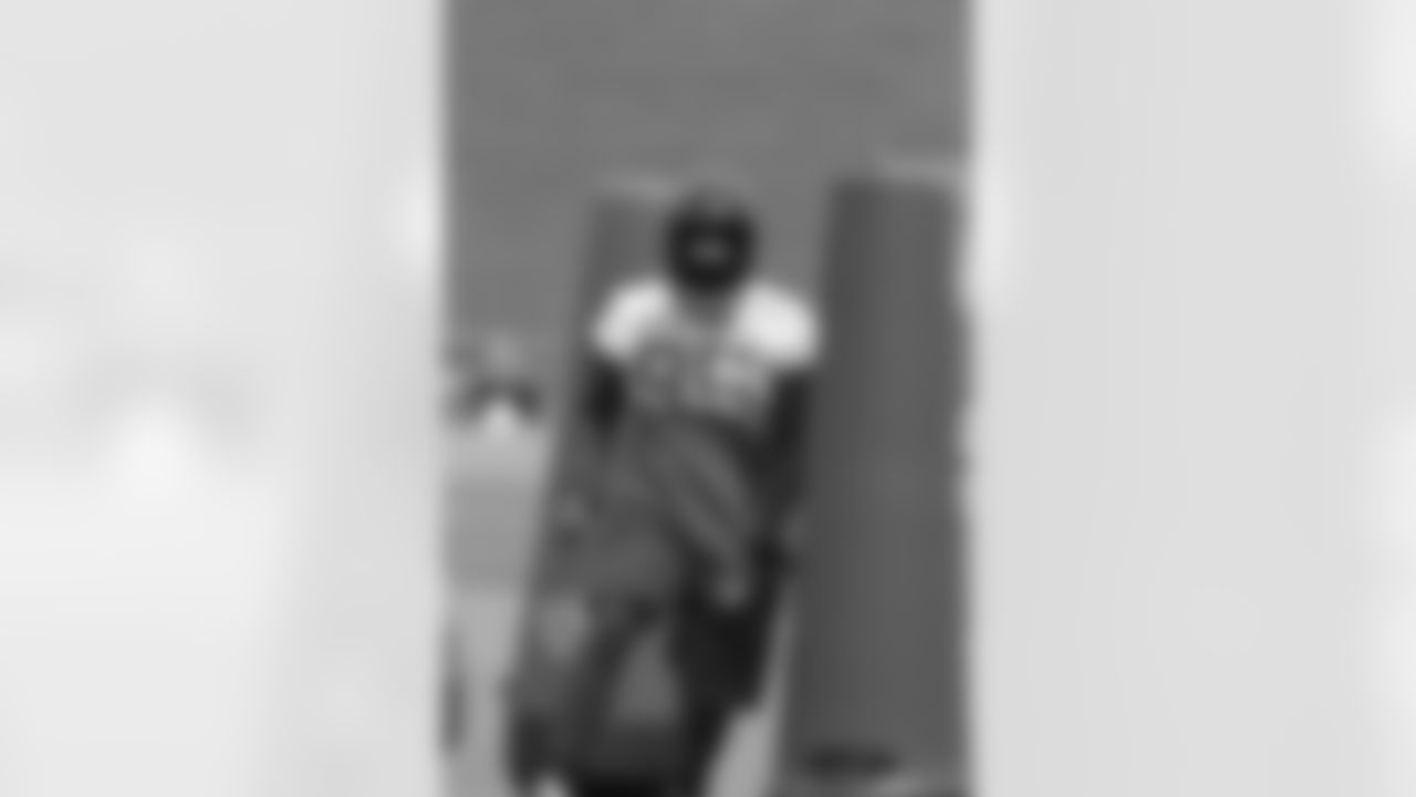 DT Jonathan Babineaux