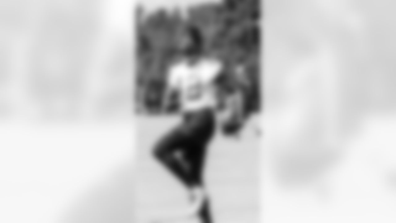 WR Mohamed Sanu