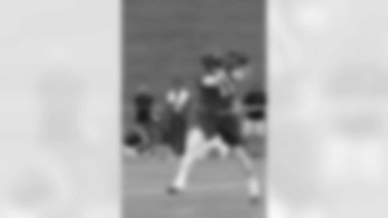 WR Julio Jones reaches up to grab the football