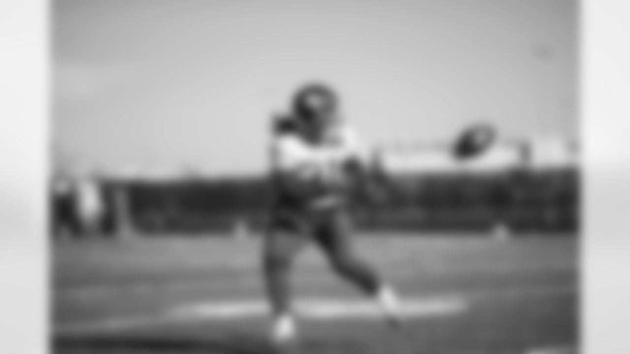 Devonta Freeman (31)