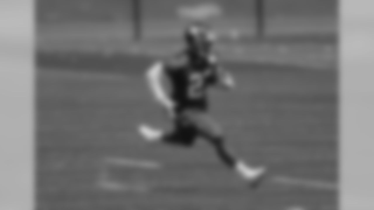 RB Jonathan Stewart