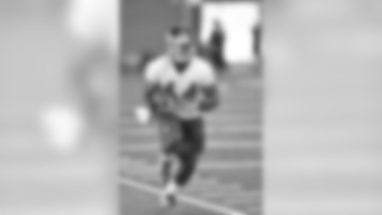 RB Andre Williams