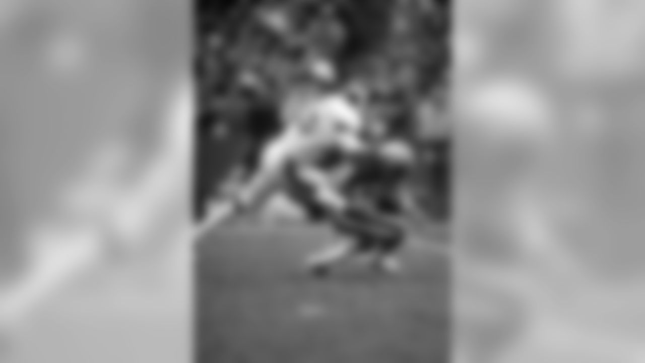 Tied-8. 1984 - 48 Sacks