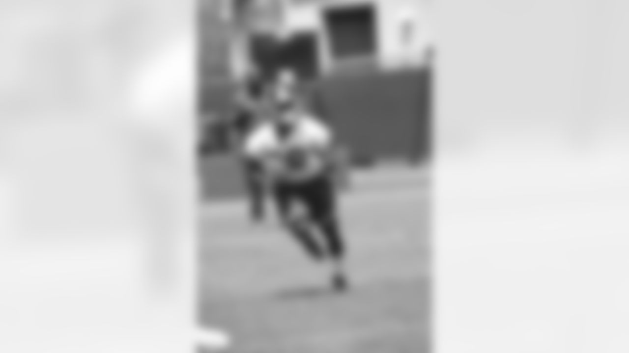 RB Akeem Hunt