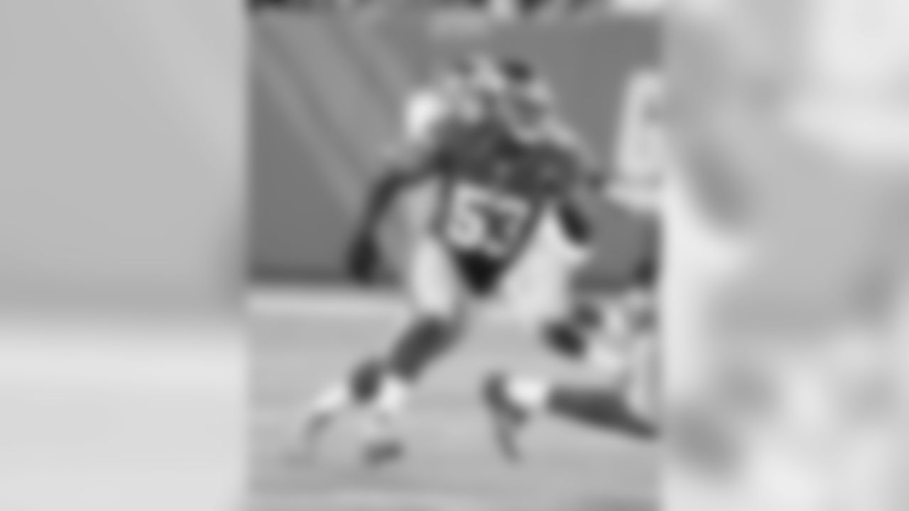 LB Jameel McClain