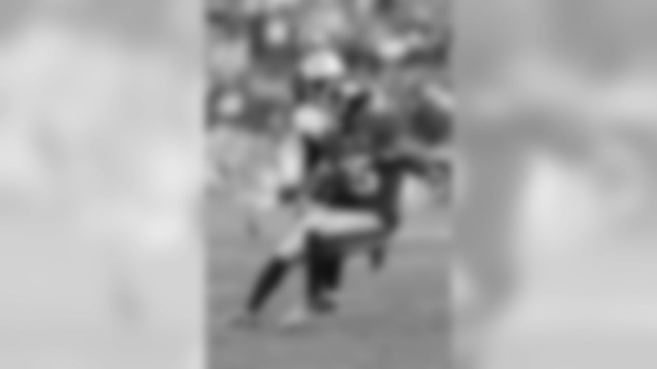 Quintin Demps, Safety