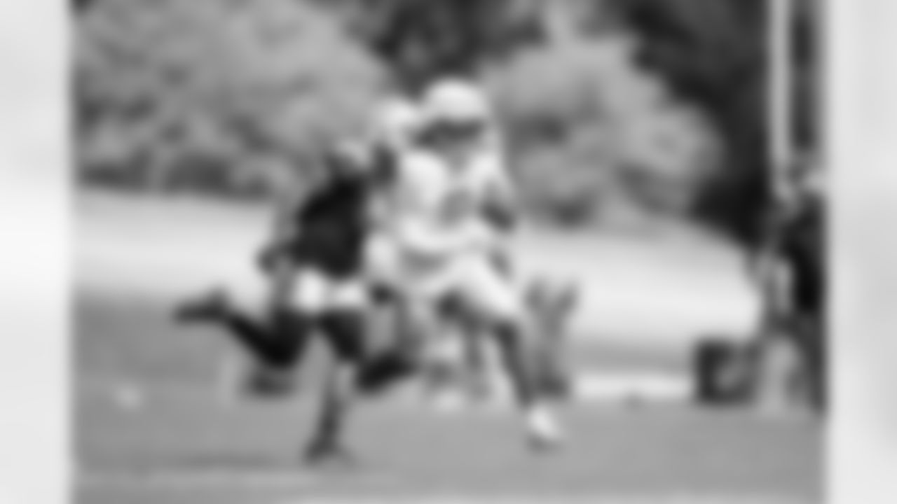 RB James Robinson (24)