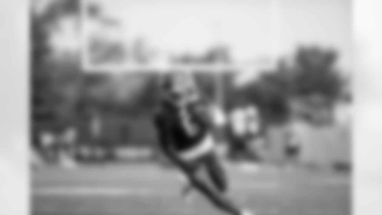 WR Bryce Ford-Wheaton (6)