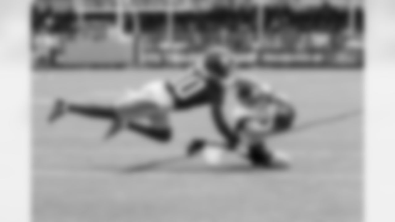 WR Cole Beasley (9)