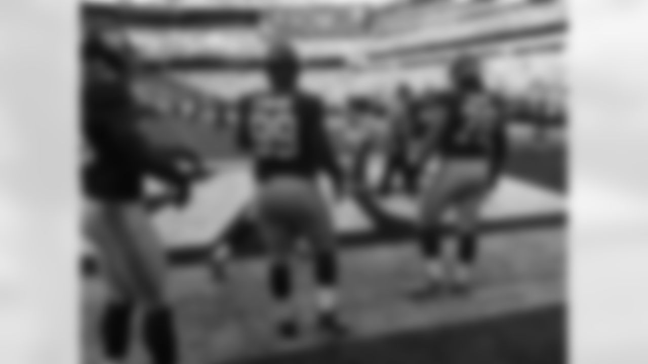 LB UANI 'UNGA, DT CULLEN JENKINS