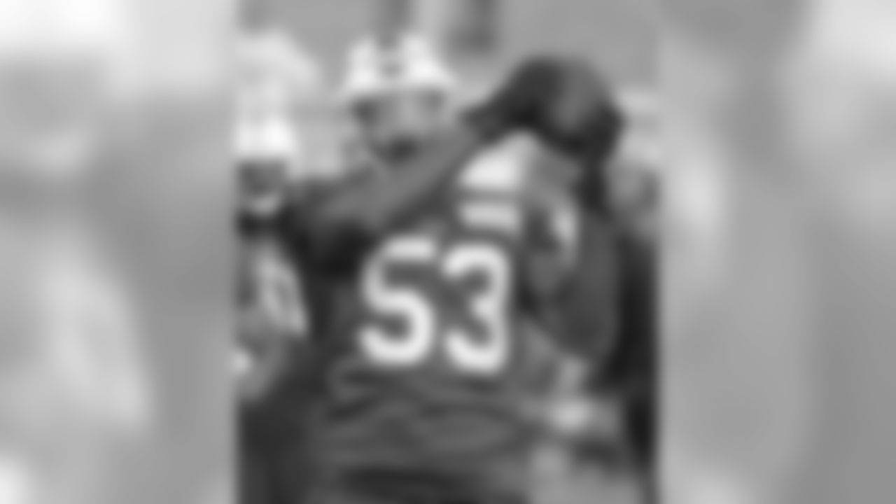LB Nigel Bradham