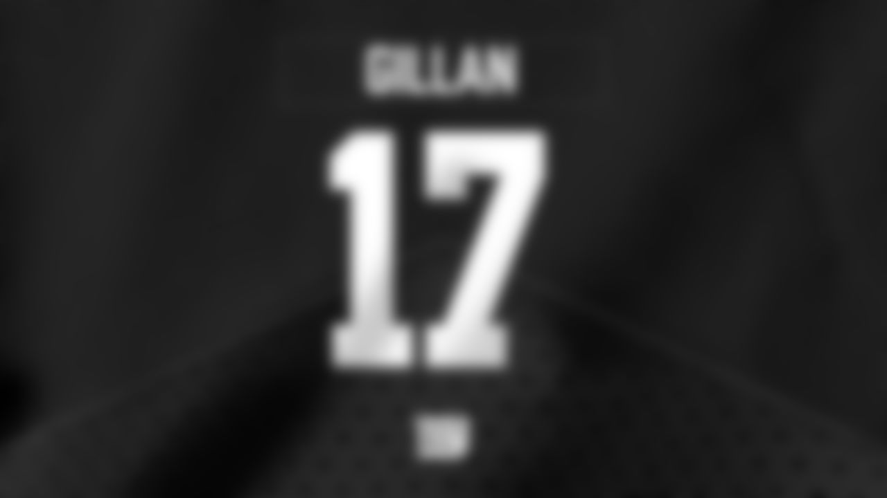 P Jamie Gillan