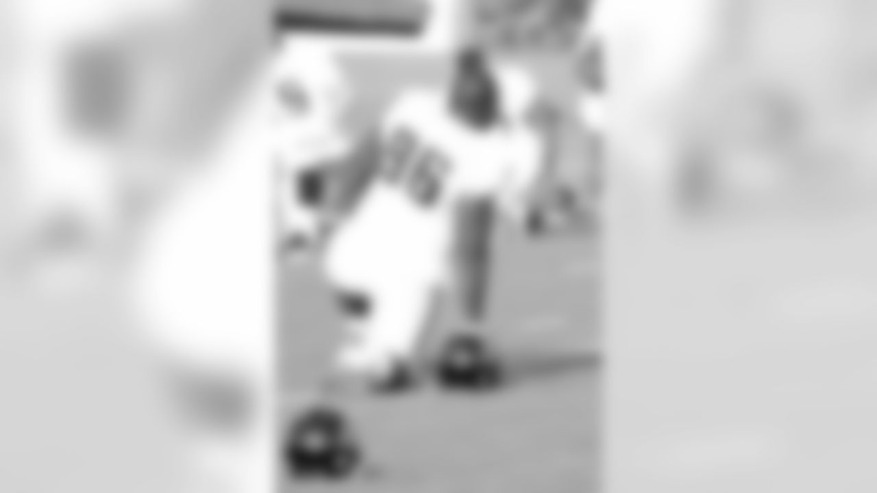 96 Terrane Knighton