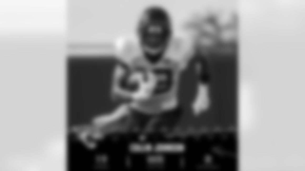 53-man-roster-graphic-19-Johnson
