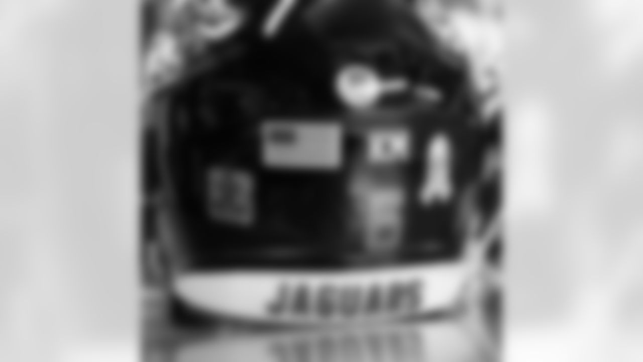 Helmet-1- new