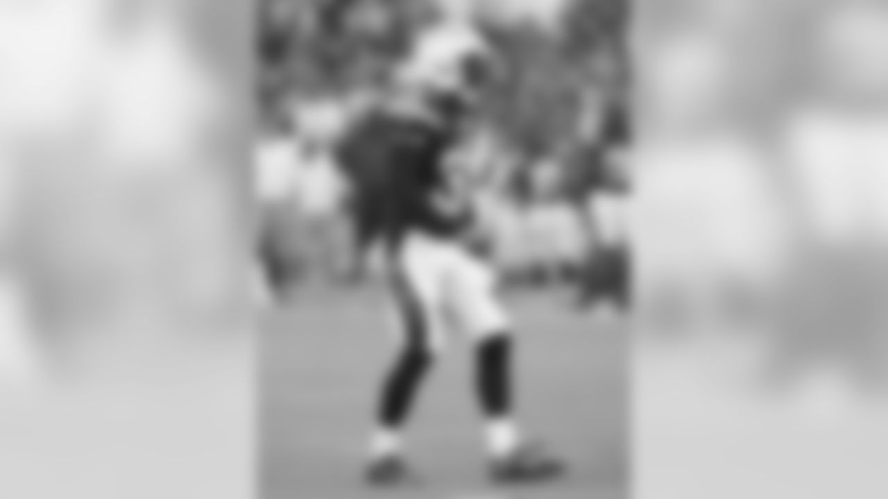 Eric Weddle remains the "Do Everything" defender for the Chargers where he led the team in tackles (115) and interceptions (2) in 2013 while being voted to his second Pro Bowl. Weddle also sports one of the best beards in the NFL.
