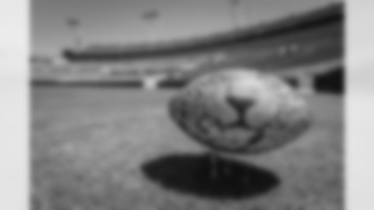 jags draft balls-5