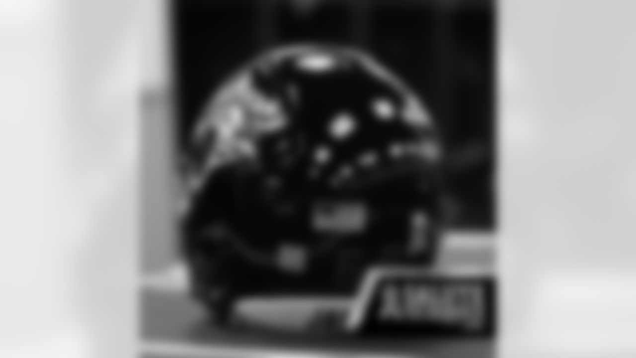 Helmet2