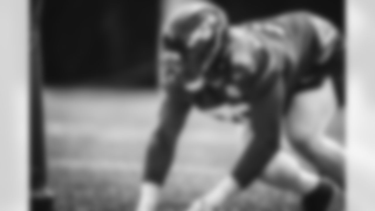 DL Tanzel Smart