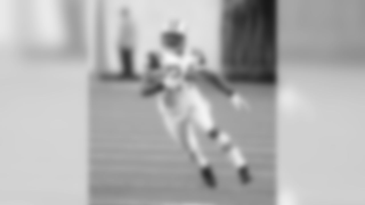 Darrelle Revis
