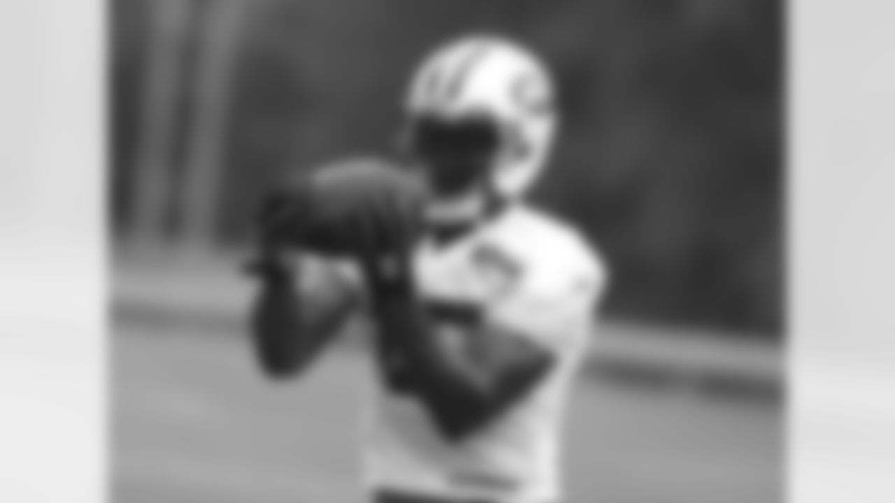 WR Brandon Marshall